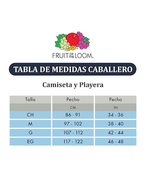 Camiseta Fruit of the Loom cuello redondo para hombre