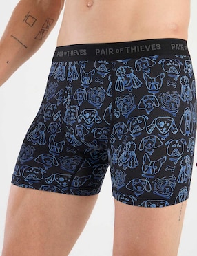 Bóxer brief Pair Of Thieves para hombre