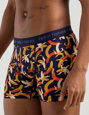 Bóxer brief Pair Of Thieves de algodón para hombre