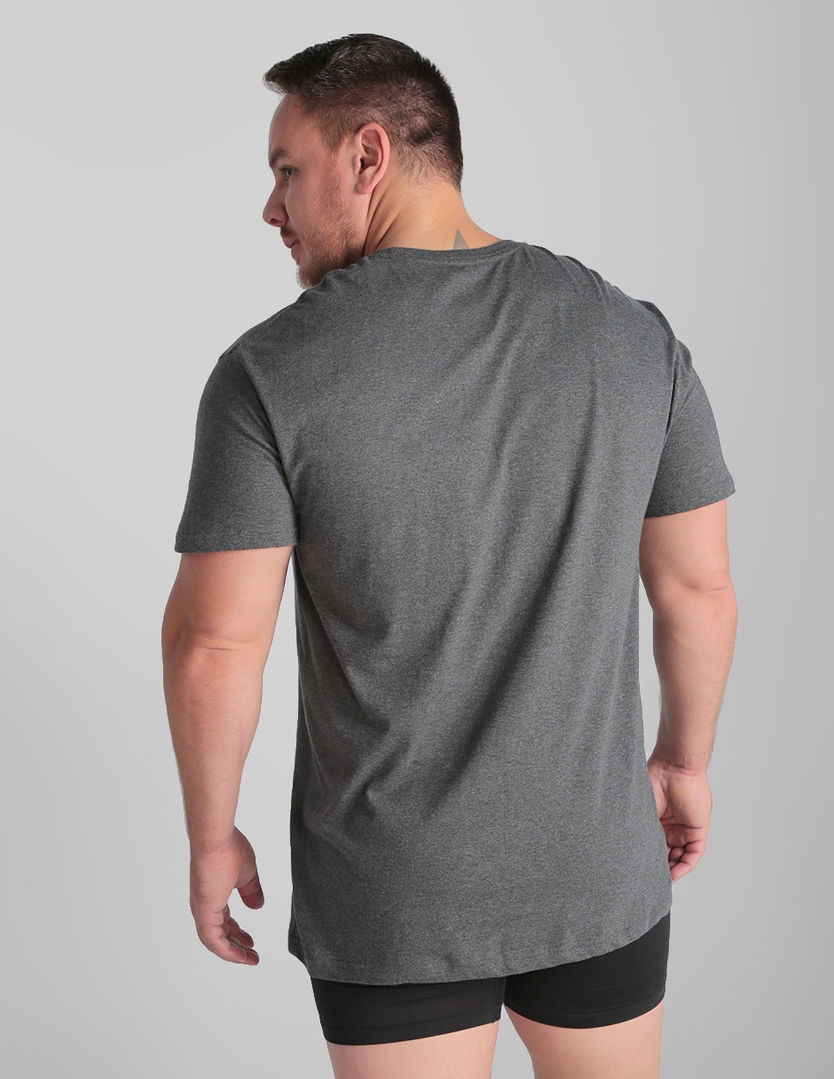 CAMISETA POLO RL ALGOD, CH, MULTICOLOR