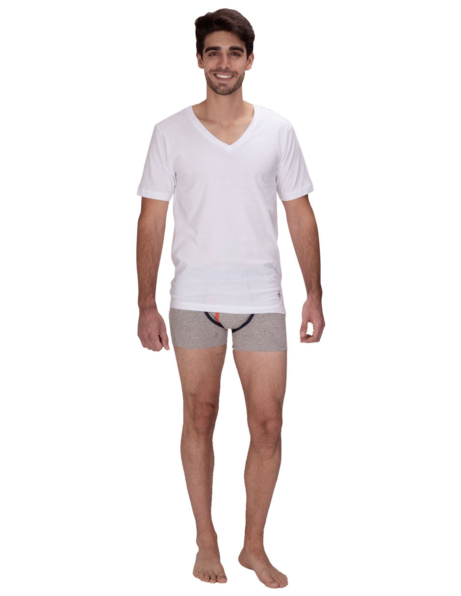 Camiseta cuello V para hombre 2