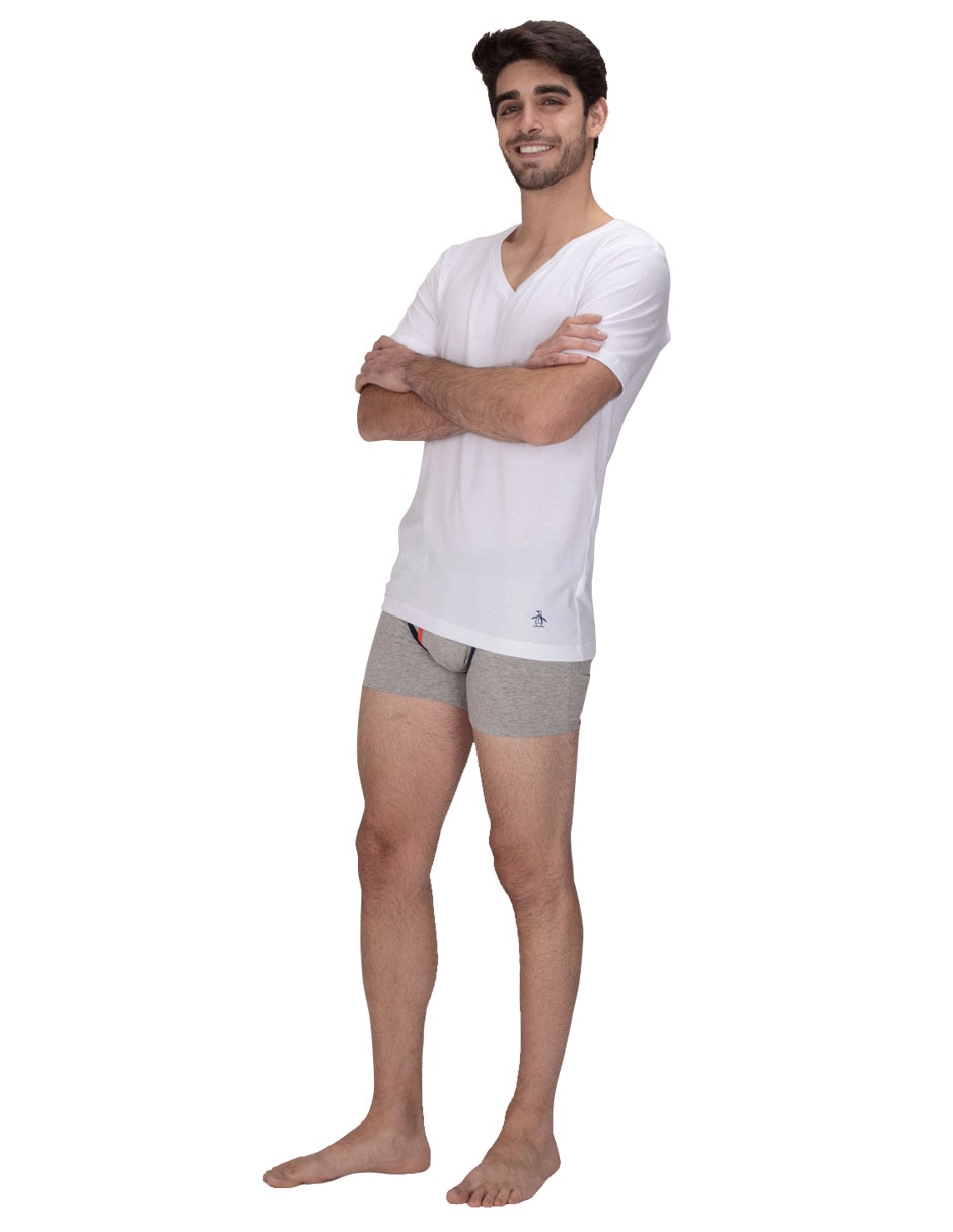 Camiseta cuello V para hombre 3