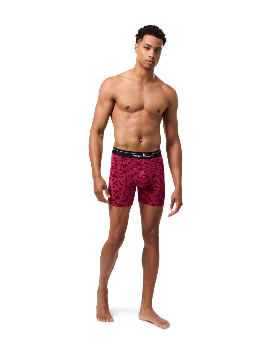 Set bóxer brief de algodón para hombre 2 piezas 2