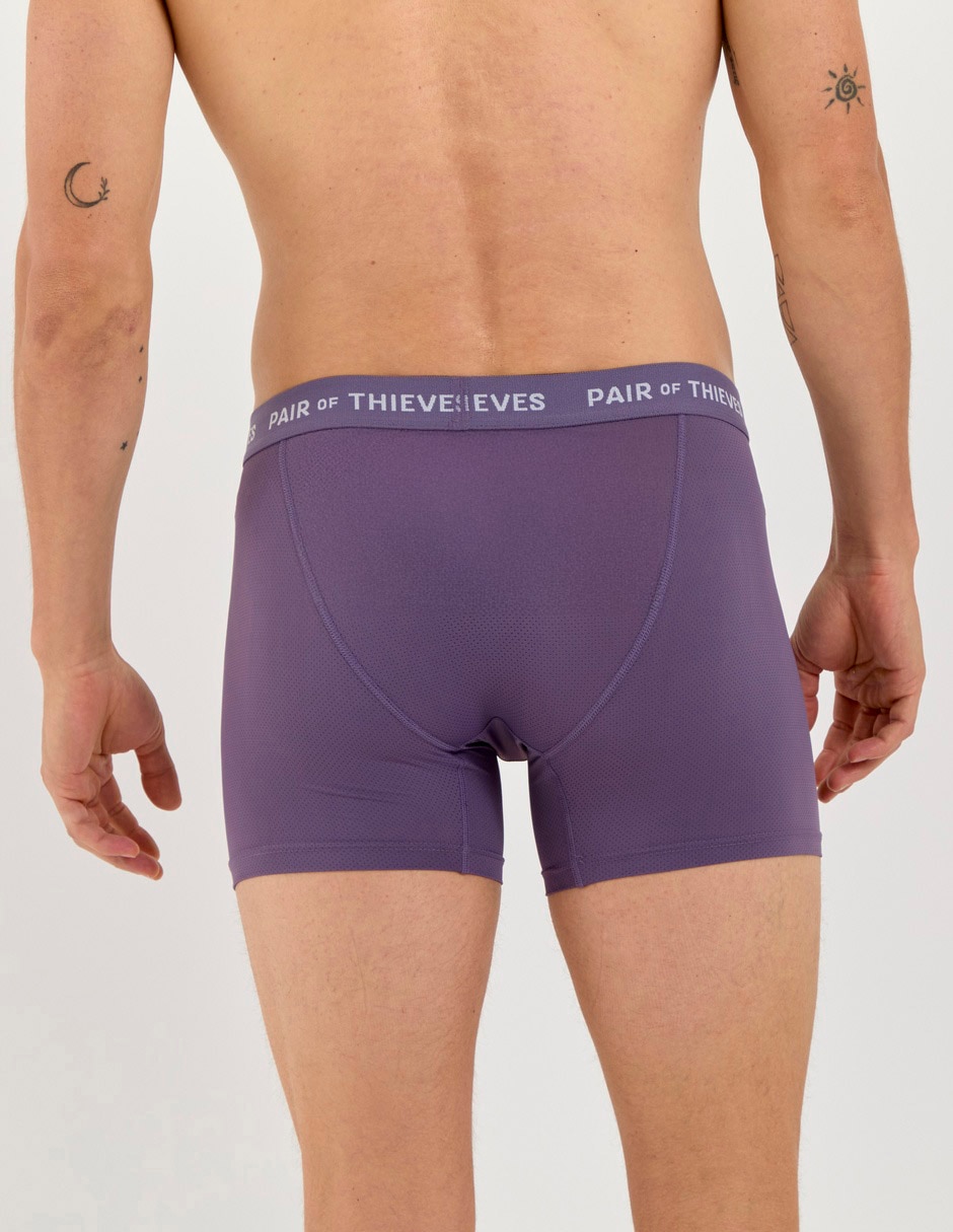 BOXER PAIR OF THIEVES 10226, G, MORADO